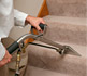 Carpet Cleaning